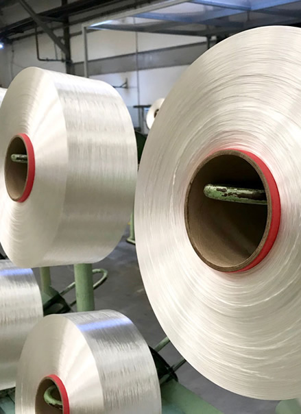 Fdy Nylon Yarn